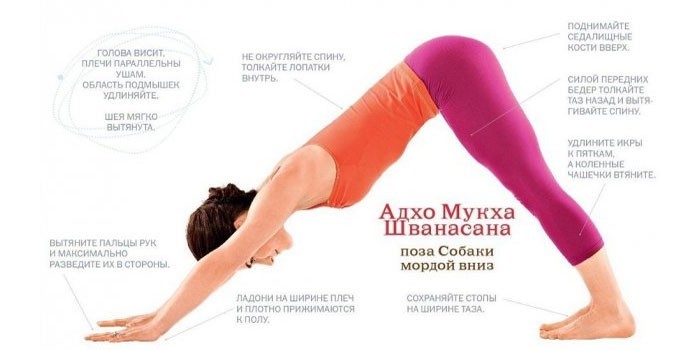 Поза Адхо Мукха Шванасана