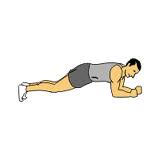 The plank exercise The plank exercise