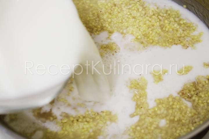 Как правильно сварить пшенную кашу на молоке в кастрюле на плите