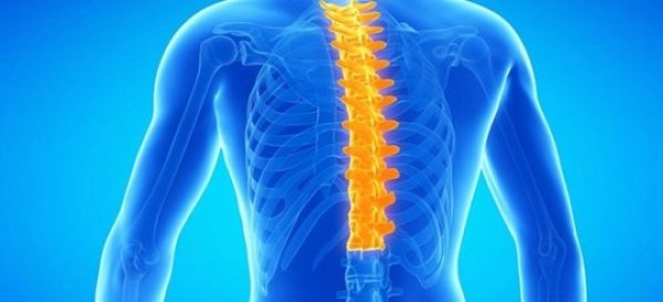 В грудном отделе остеохондроз встречается реже, чем в шейном и поясничном