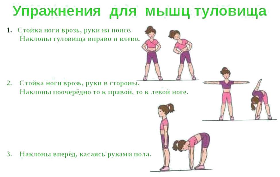 Упражнения для мышц туловища