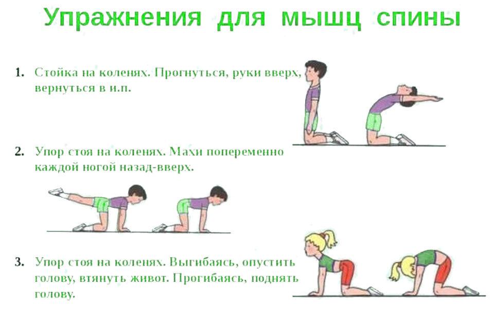 Упражнения для мышц спины и осанки