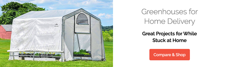 Greenhouses with home delivery shop and compare here