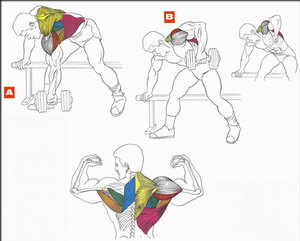 Становая тяга для мышц спины